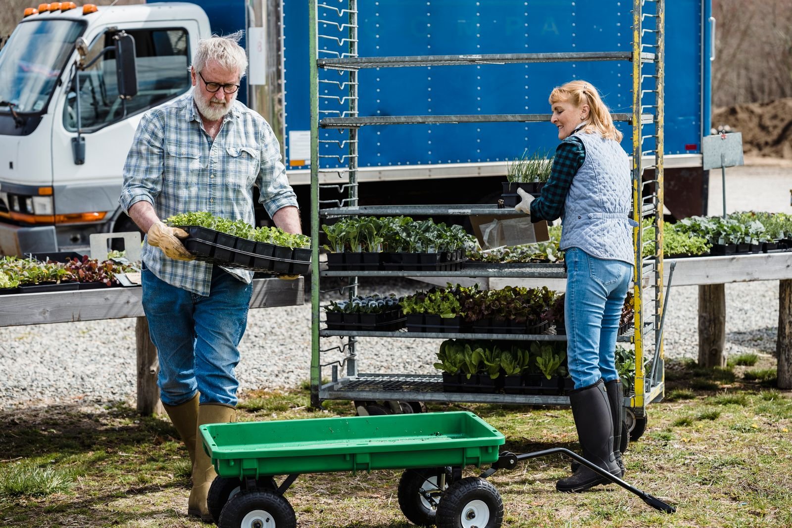 Two growers loading trays of young plants and vegetables beside a delivery truck