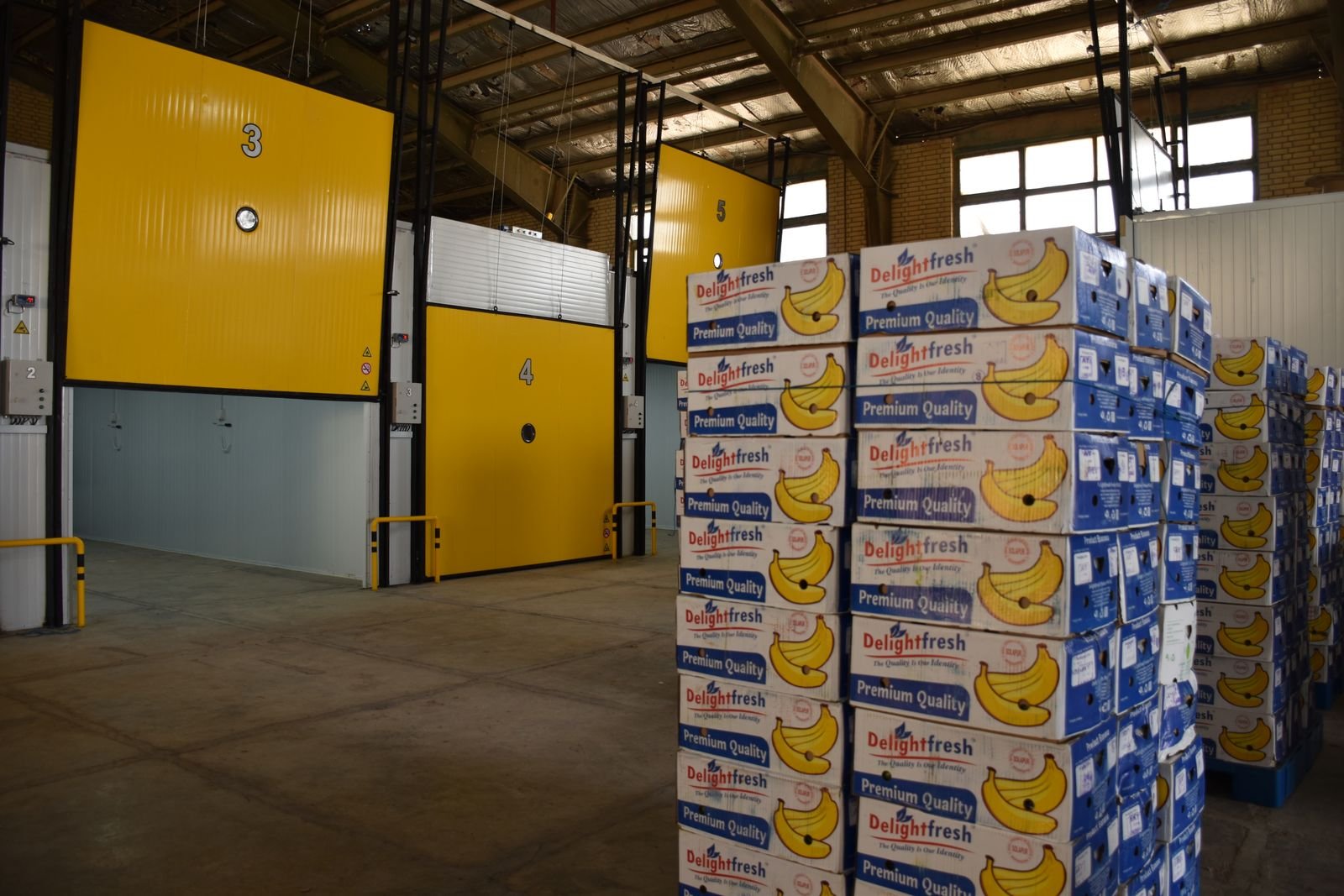Large chilled ripening chambers with yellow doors, and stacked boxes of fruit in a warehouse